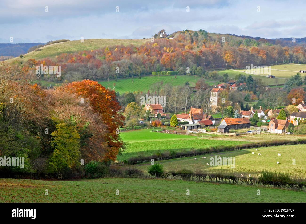 Bucks - Chiltern Hills - view over fields  to Fingest hamlet - sheltered by wooded hillsides - autumn sunlight and colours Stock Photo
