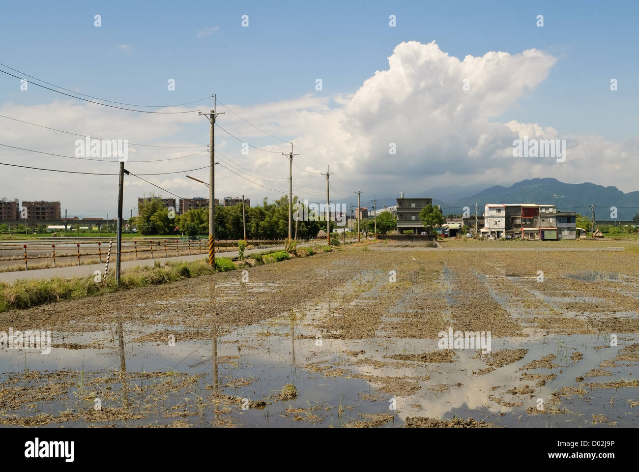 Rural scenery with farms and water under blue sky Stock Photo - Alamy