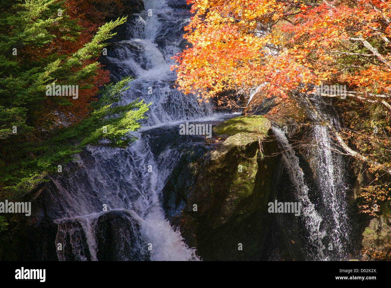 Japan, Tochigi, Nikko, National park waterfall Stock Photo