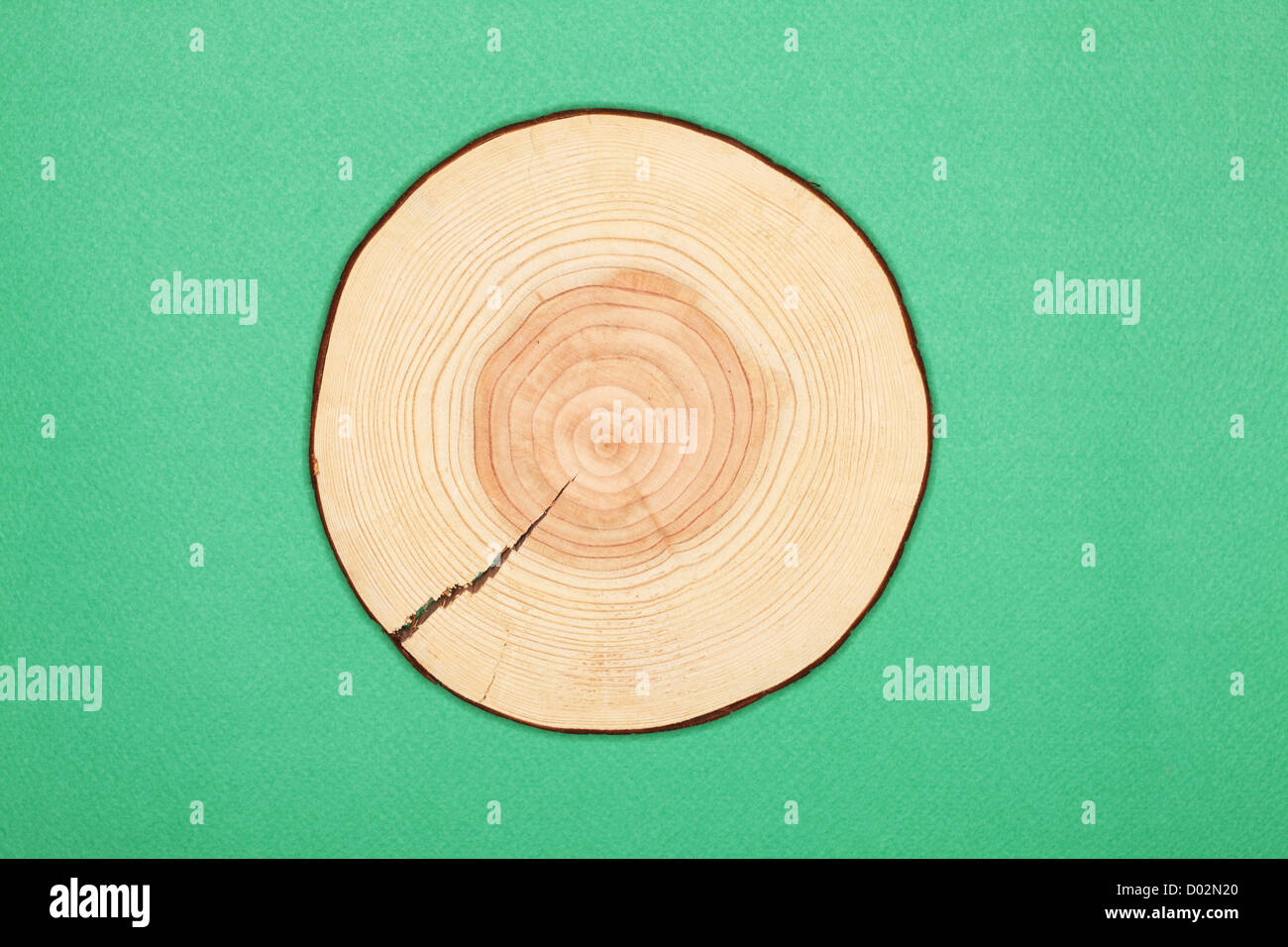 Annual rings of tree trunk Stock Photo