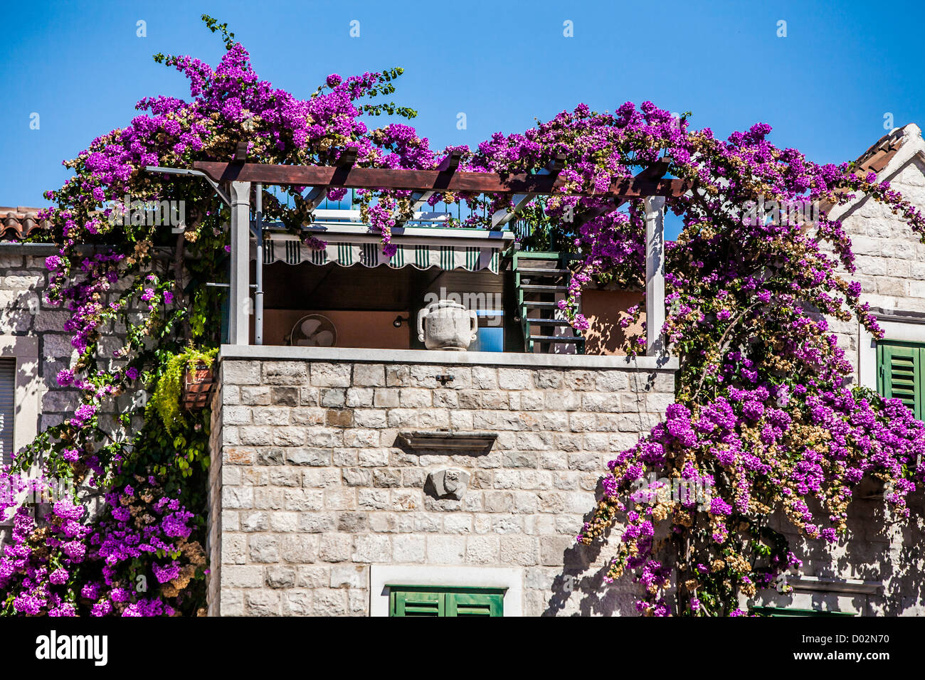 Purple flowers on building in Croatia Stock Photo