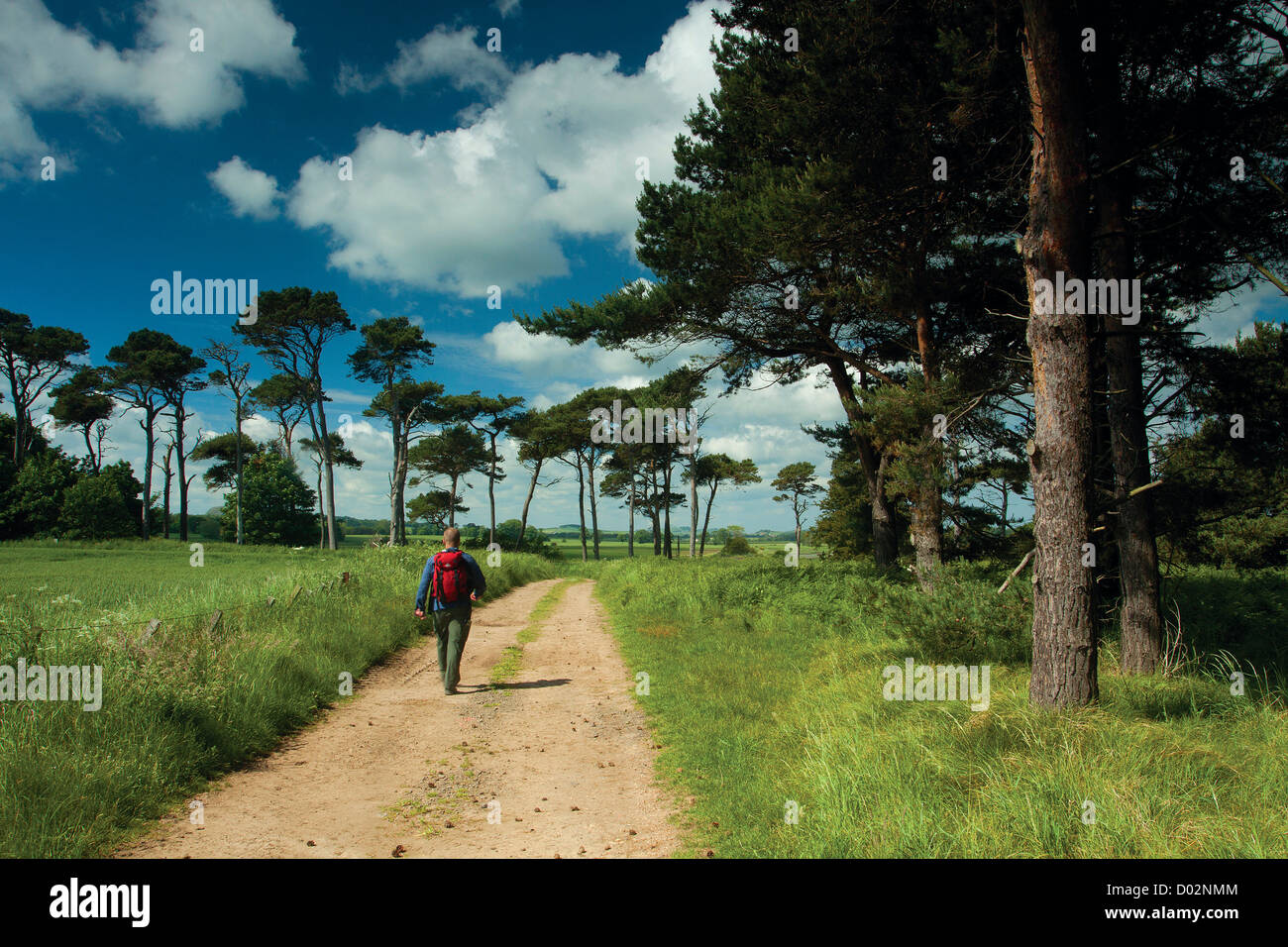 The John Muir Way near Dunbar, East Lothian Stock Photo - Alamy