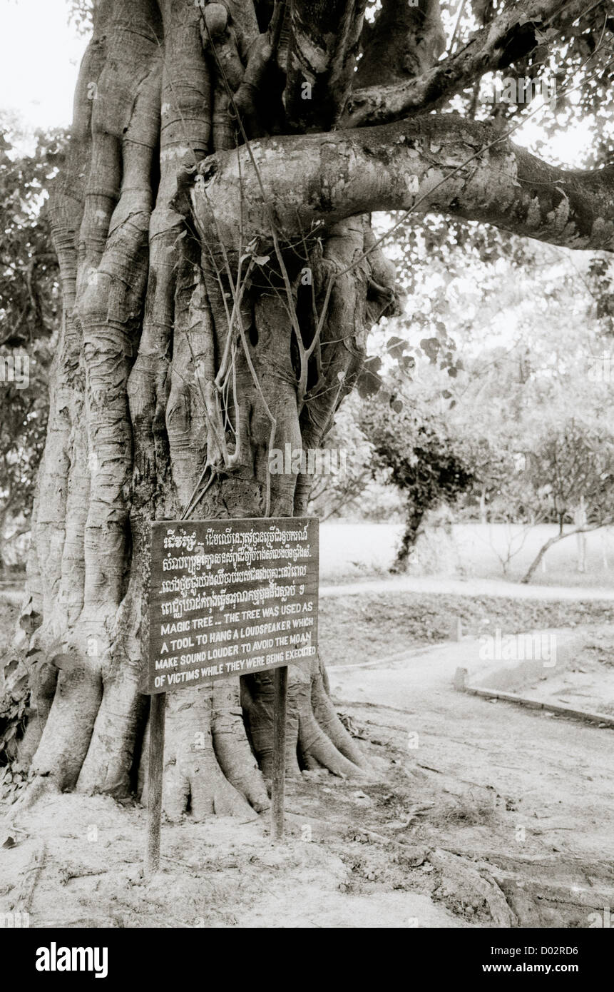 Magic Tree in Choeung Ek Killing Fields in Phnom Penh in Cambodia in Far East Southeast Asia. History Historical Holocaust Tourism Tourist Site Travel Stock Photo