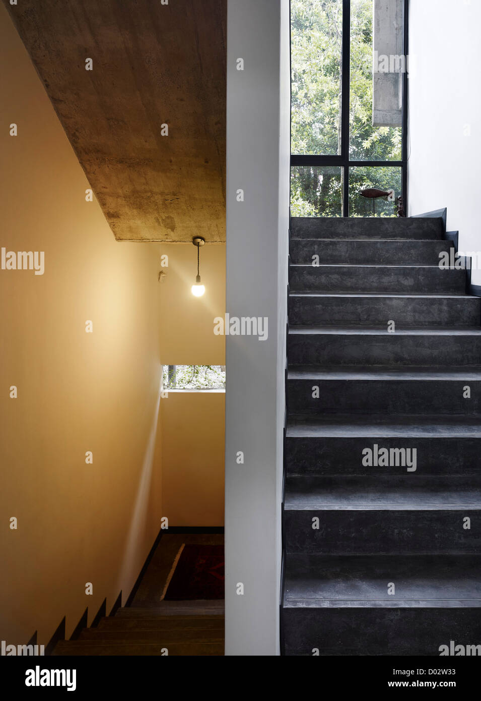 Dog Concrete House, Kuala Lumpur, Malaysia. Architect Kevin Low, 2012