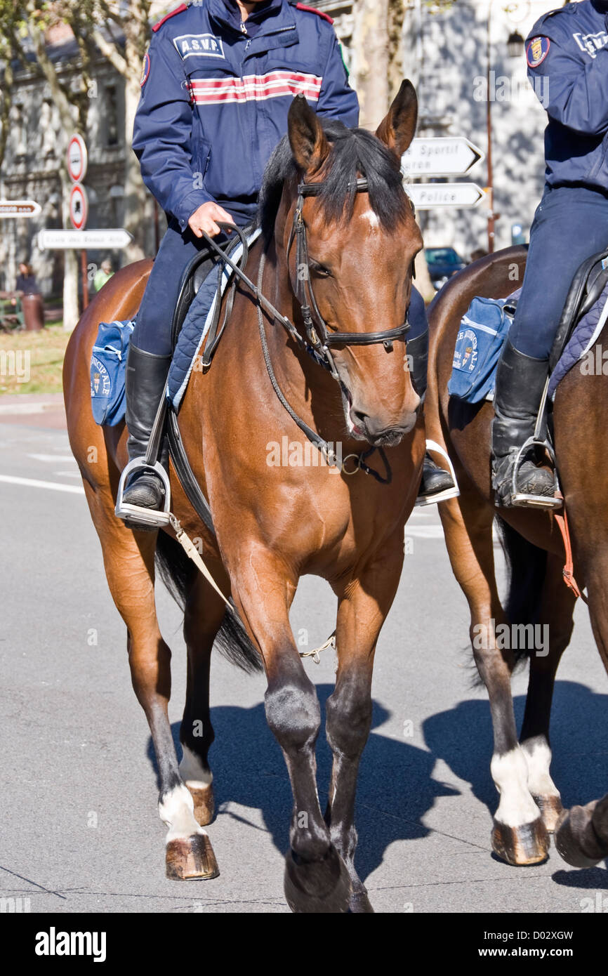 Mounted police with his horse hi-res stock photography and images - Alamy