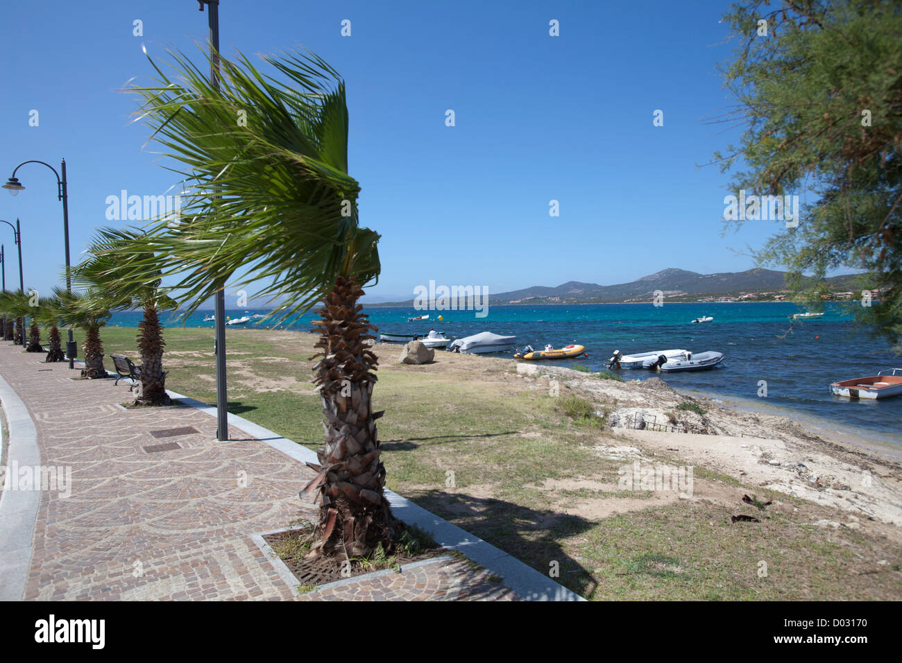 a seascape of Sardinia, Italian island, with trees in the wind Stock