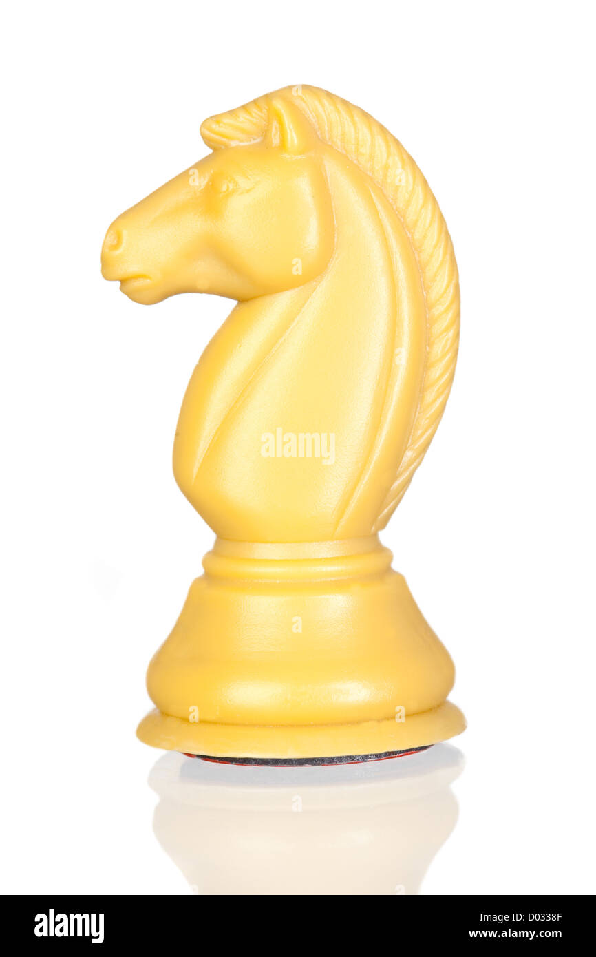 White horse chess isolated on white background with reflection on the ...