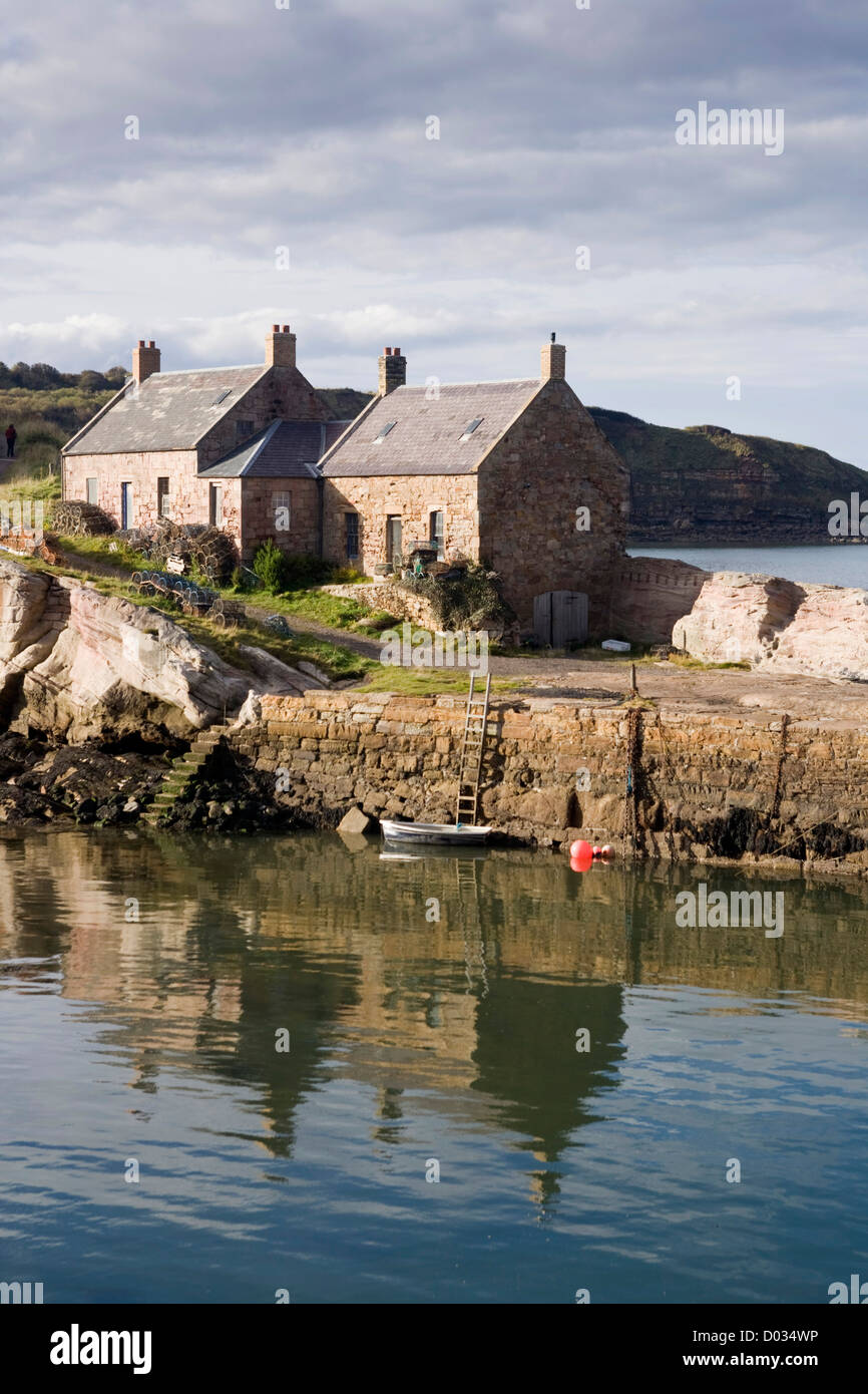 COVE HARBOUR BERWICKSHIRE, SCOTLAND Stock Photo Alamy
