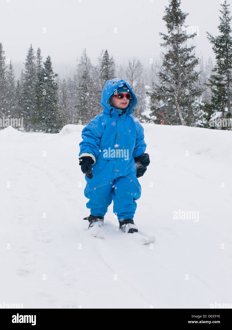 Three year old boy learning to ski, cross country Nordic skiing, first attempts, forest near