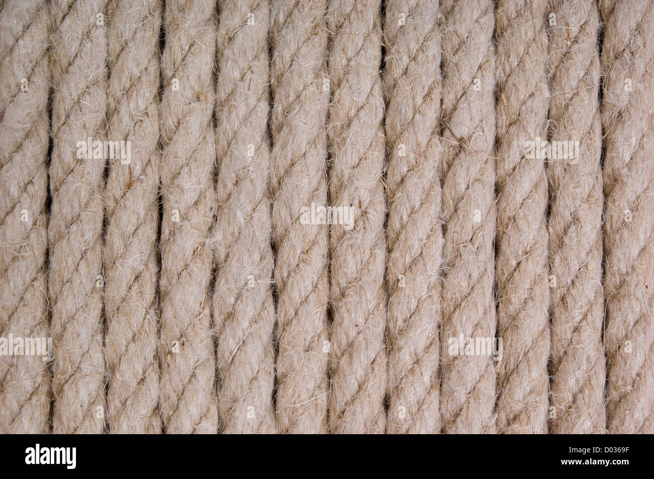 Thick String Stock Photo - Download Image Now - Brown, Close-up, Color  Image - iStock