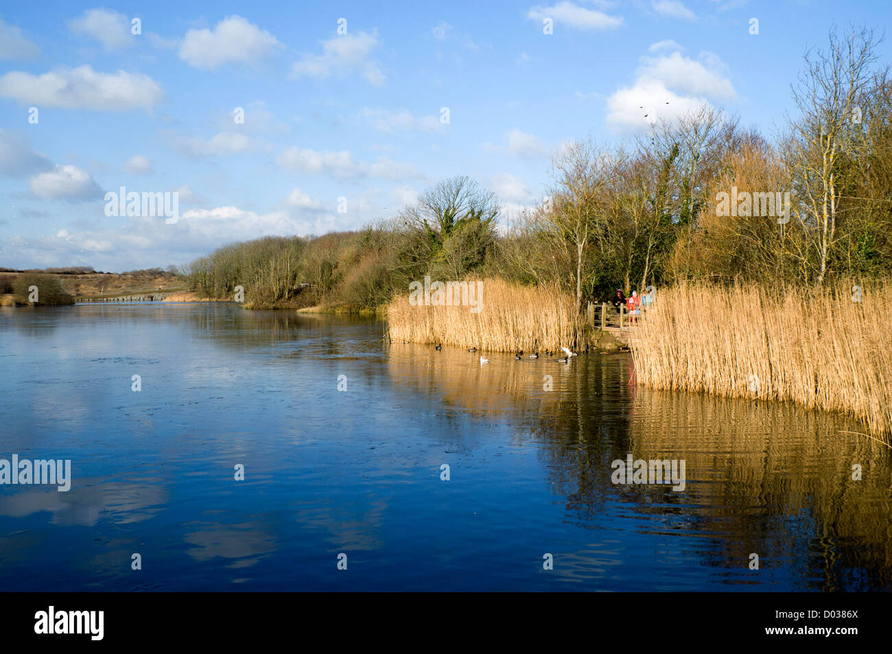Lake, Cosmeston Lakes and Country Park, Penarth, Vale of Glamorgan, South Wales, UK. Stock Photo