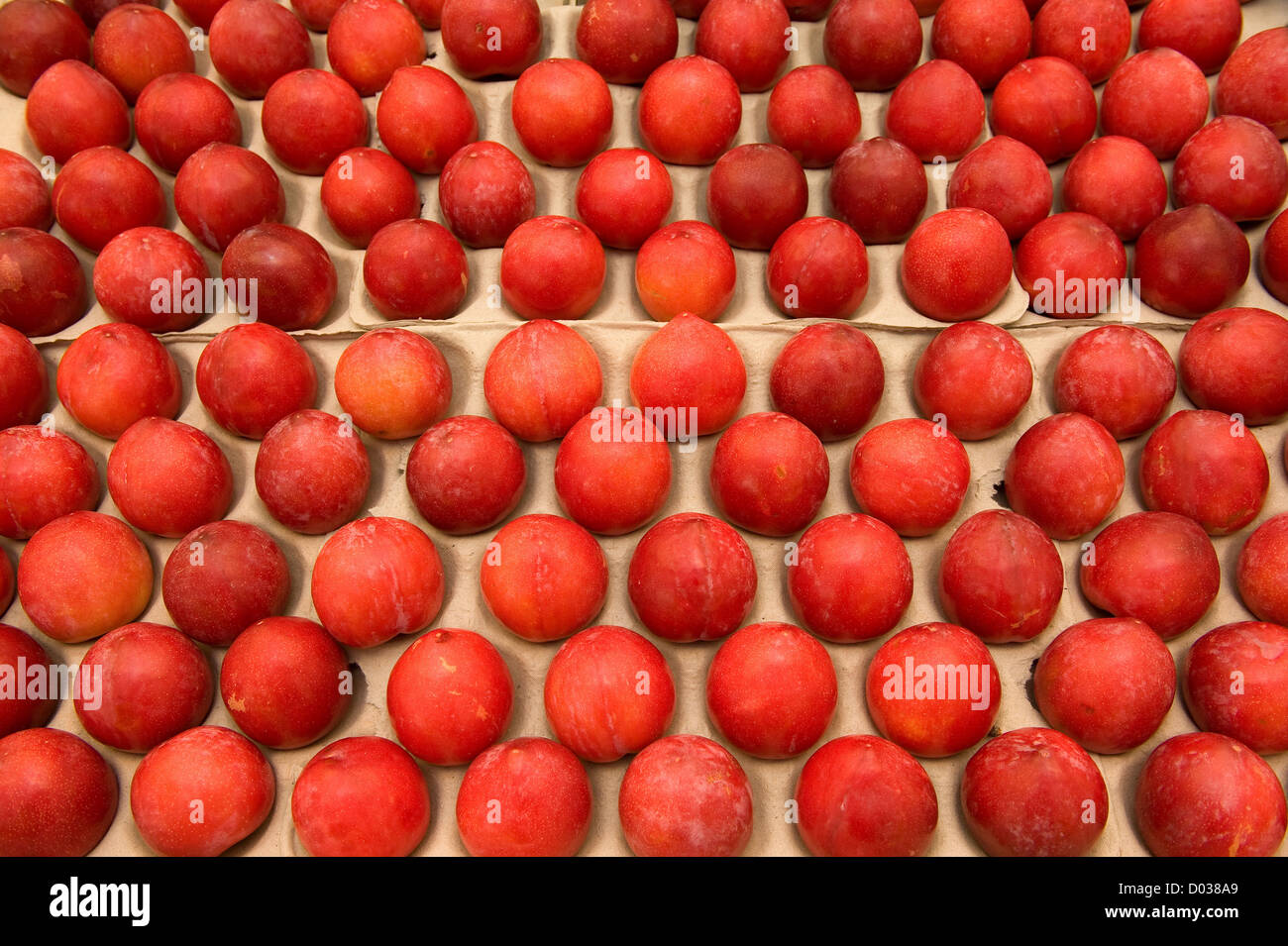Plums sorted on a market place Stock Photo