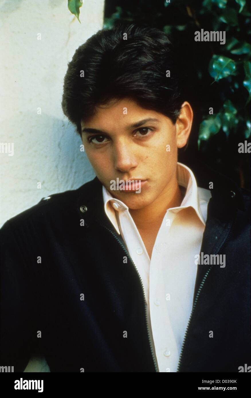 Ralph Macchio Stock Photos & Ralph Macchio Stock Images - Alamy