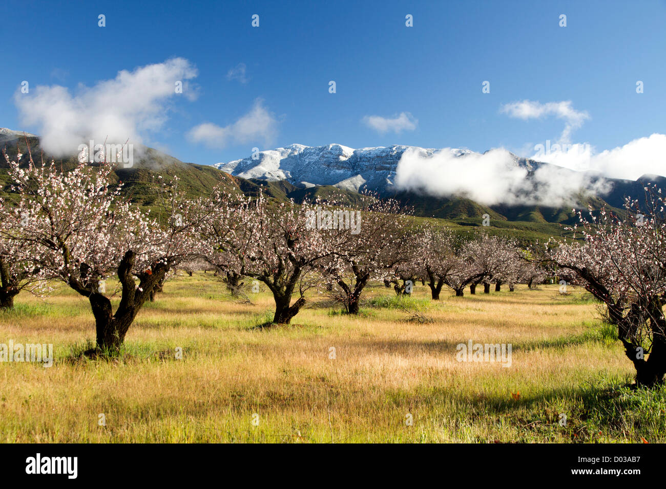 Upper Ojai Valley Agriculture Scenics Stock Photo Alamy