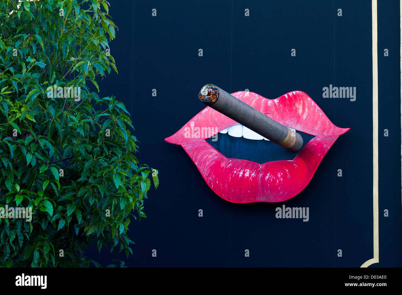 lips - High Resolution 4K Wallpaper