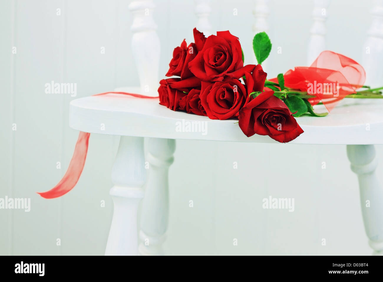 Beautiful long stem roses with ribbin on a white chair against a white wall. Stock Photo