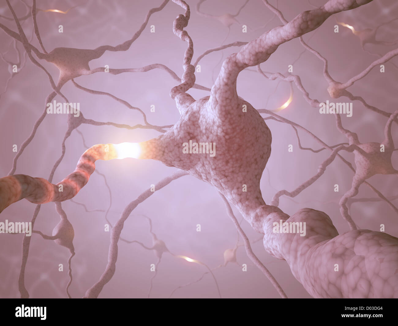 Inside the brain. Concept of neurons and nervous system Stock Photo - Alamy