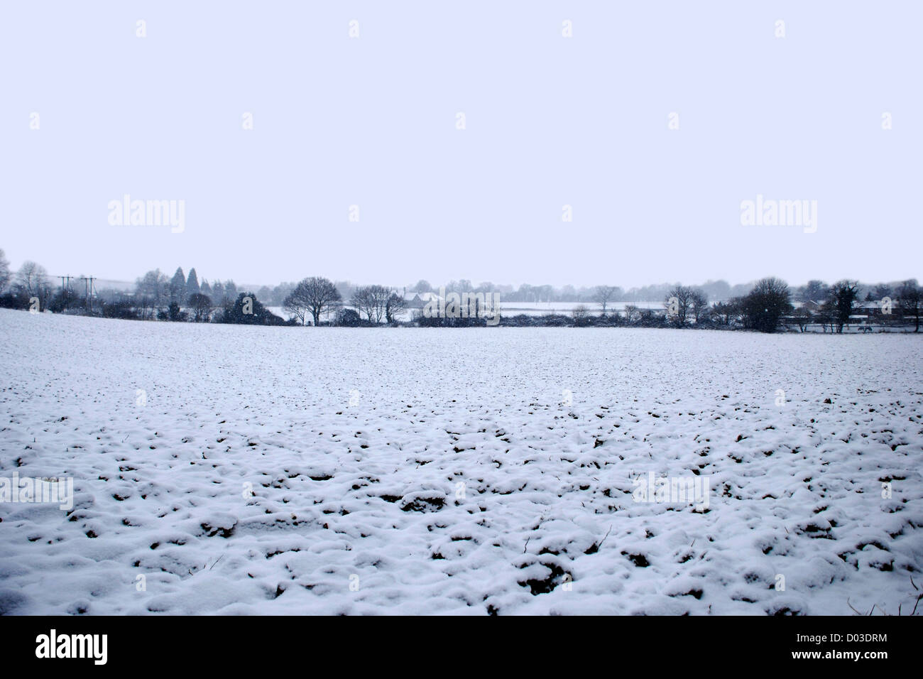 Snowy English winter landscape with a dark line of trees and hedgerow