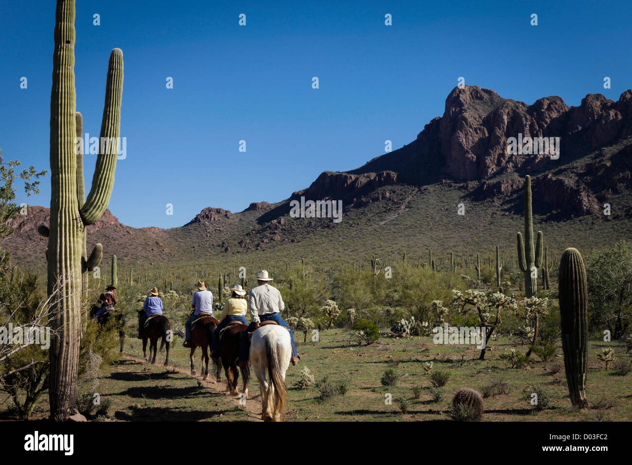Tucson, Arizona, United States. White Stallion Dude Ranch Stock Photo -  Alamy