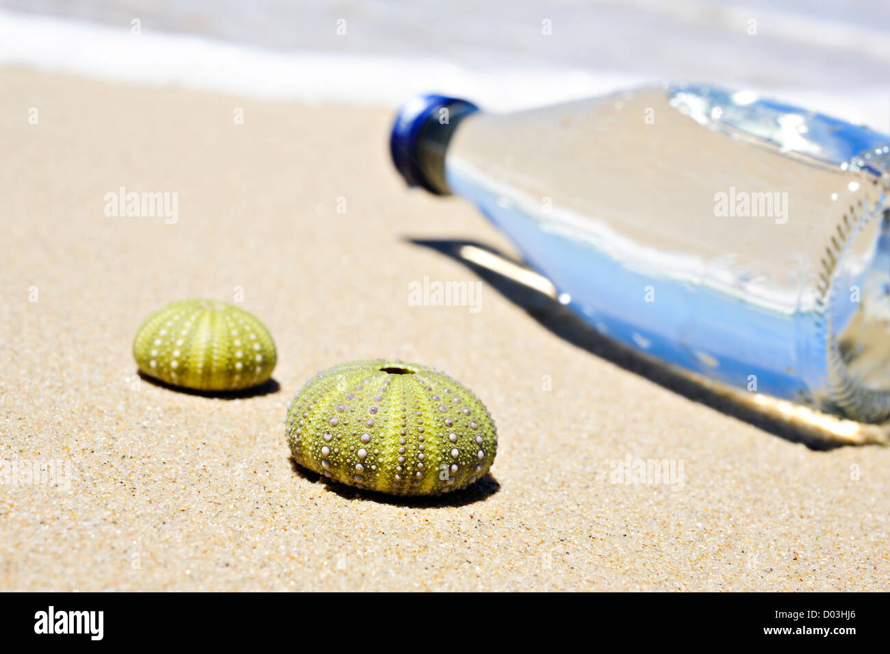 Beach scene with two dead sea urchin shells and a bottle of water Stock Photo