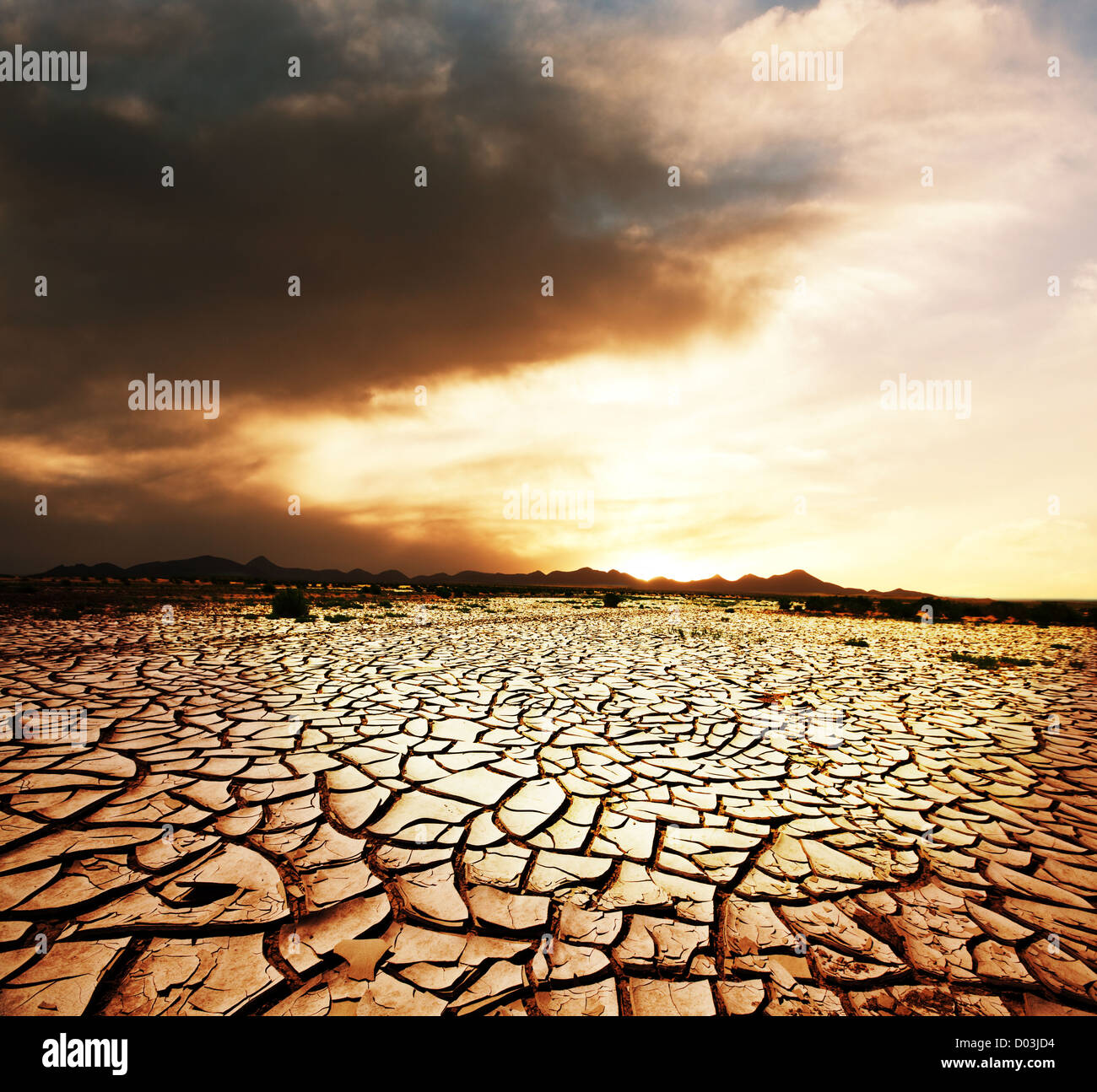 Drought land Stock Photo Alamy