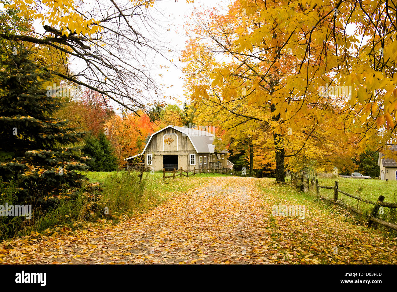 Vermont Barn with Falls Colors Stock Photo