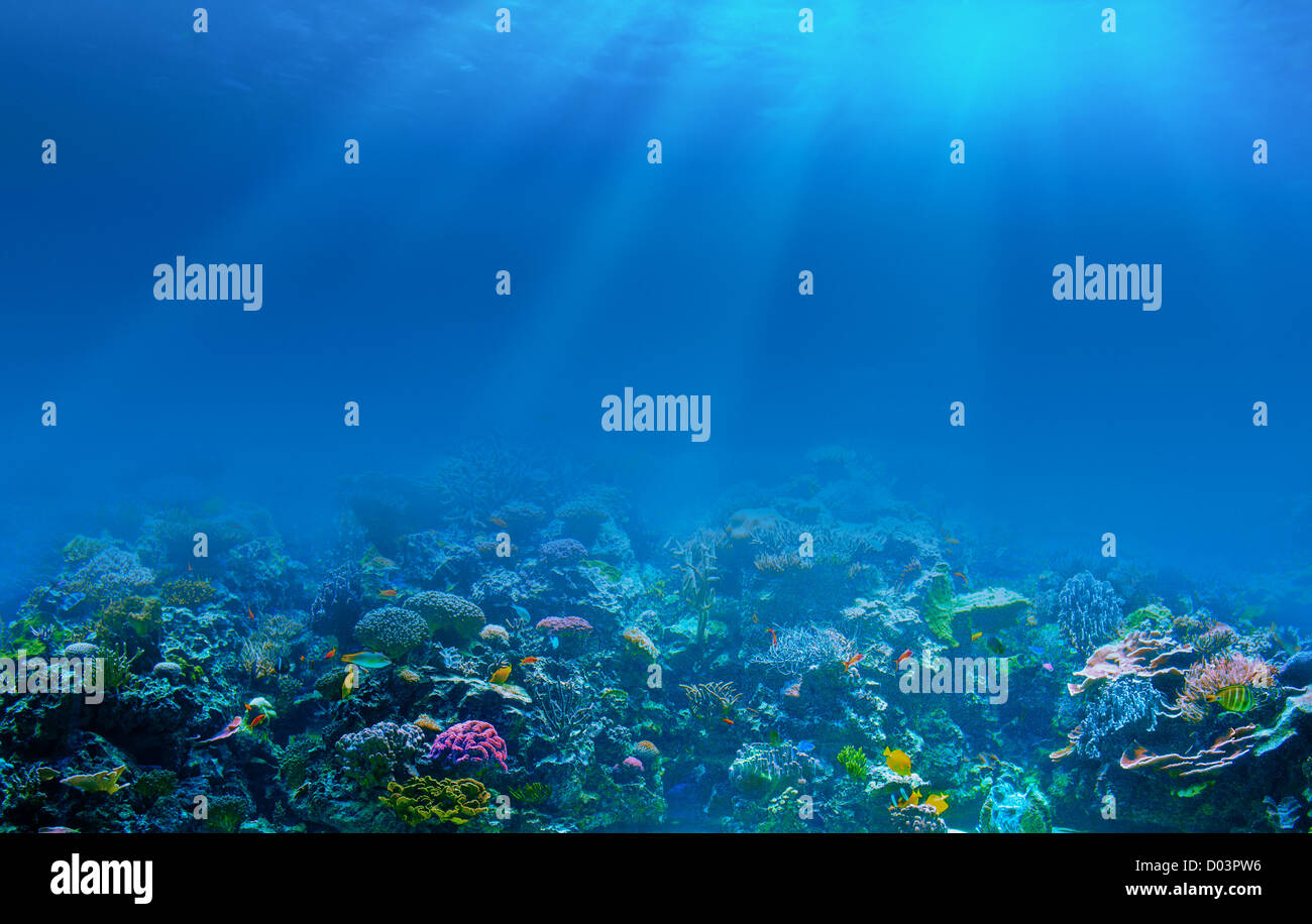 Underwater coral reef background Stock Photo