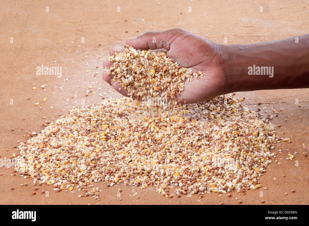 African's hand pouring grain used for poultry feed Stock Photo