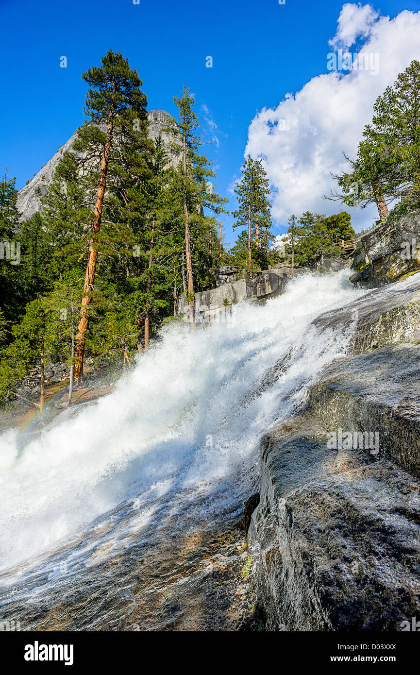 Fast mountain stream in forest hi-res stock photography and images - Alamy