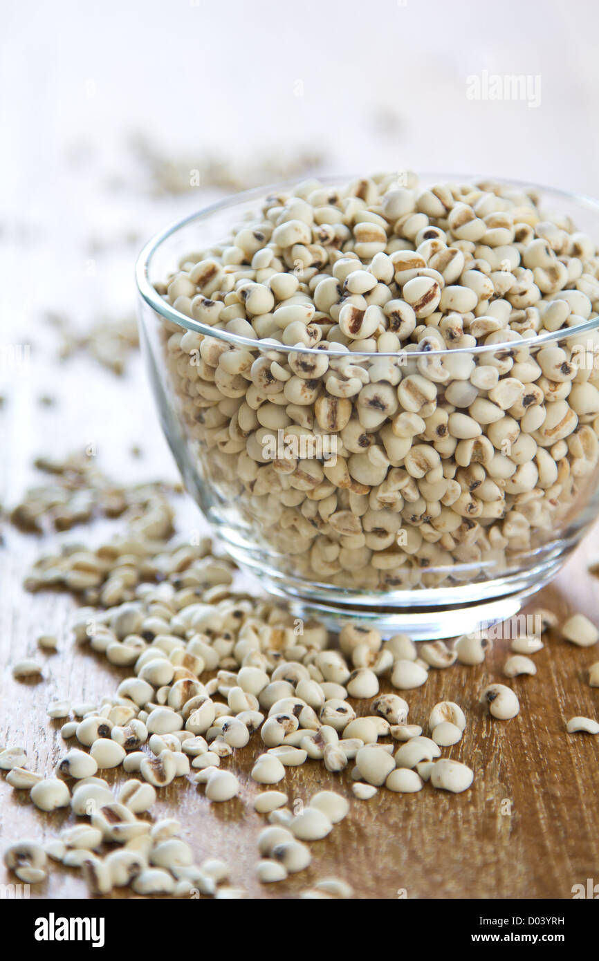 Job´s tears hires stock photography and images Alamy