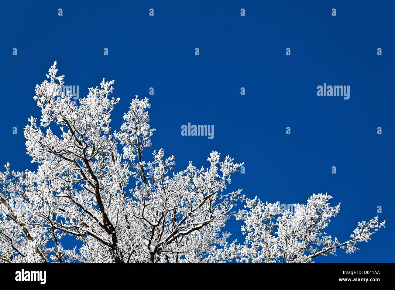A landscape with rime, frost and snow on tree in winter Stock Photo - Alamy