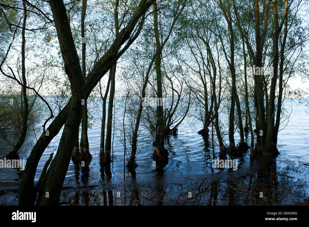 Hanningfield Reservoir Water High Resolution Stock Photography and ...