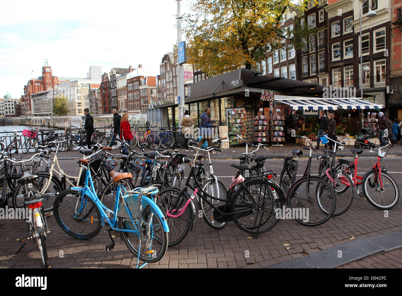 Bicycles stand by the Flower Market (Bloemenmarkt) in central Amsterdam, the Netherlands. Stock Photo