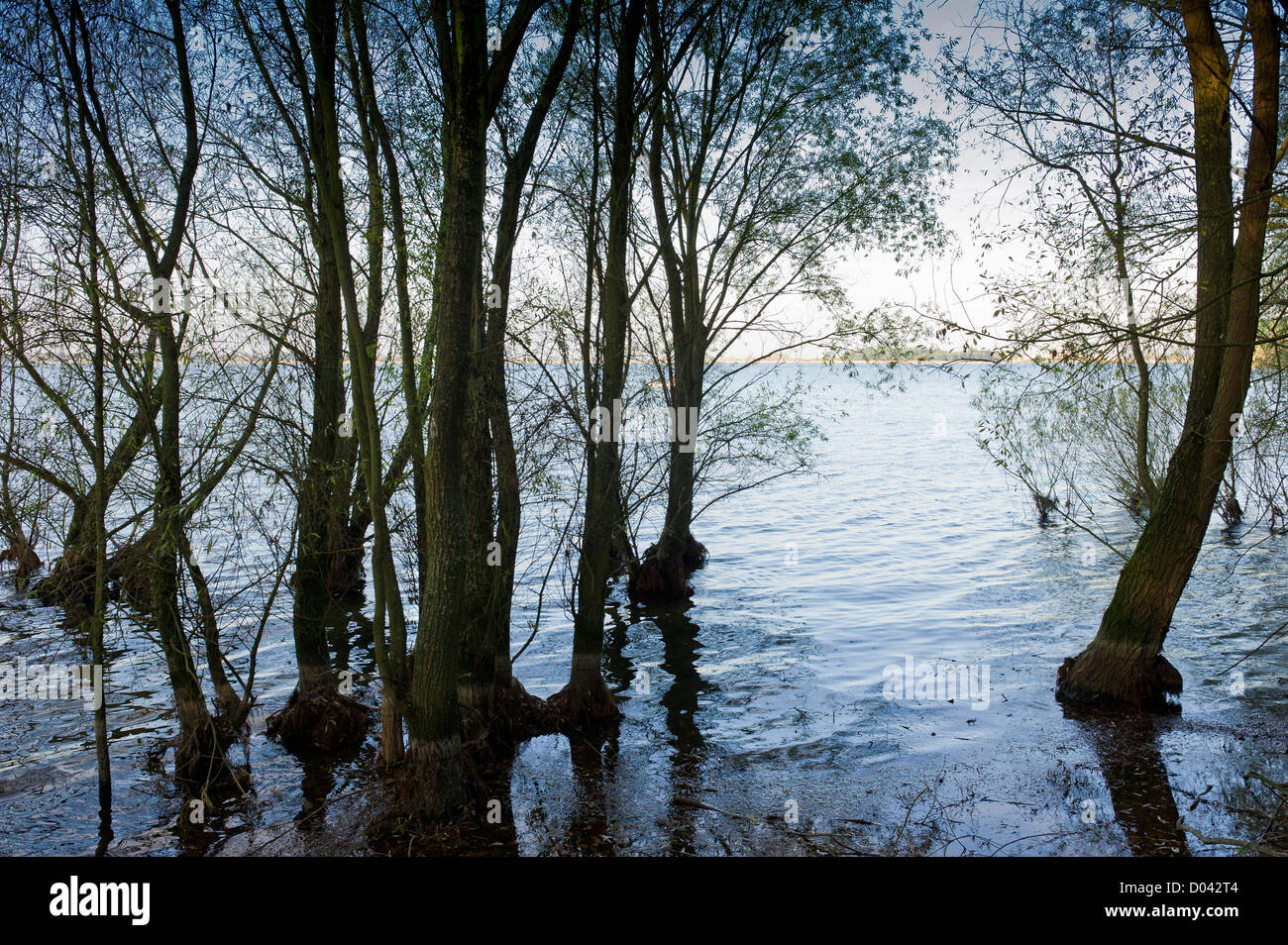 Hanningfield Reservoir Water High Resolution Stock Photography and ...
