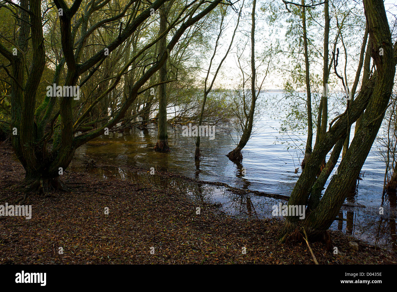 Hanningfield Reservoir in Essex. Stock Photo