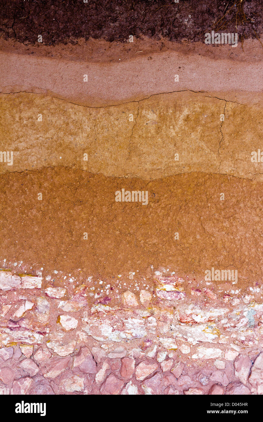 Vertical View of Soil Layers under the ground. Stock Photo