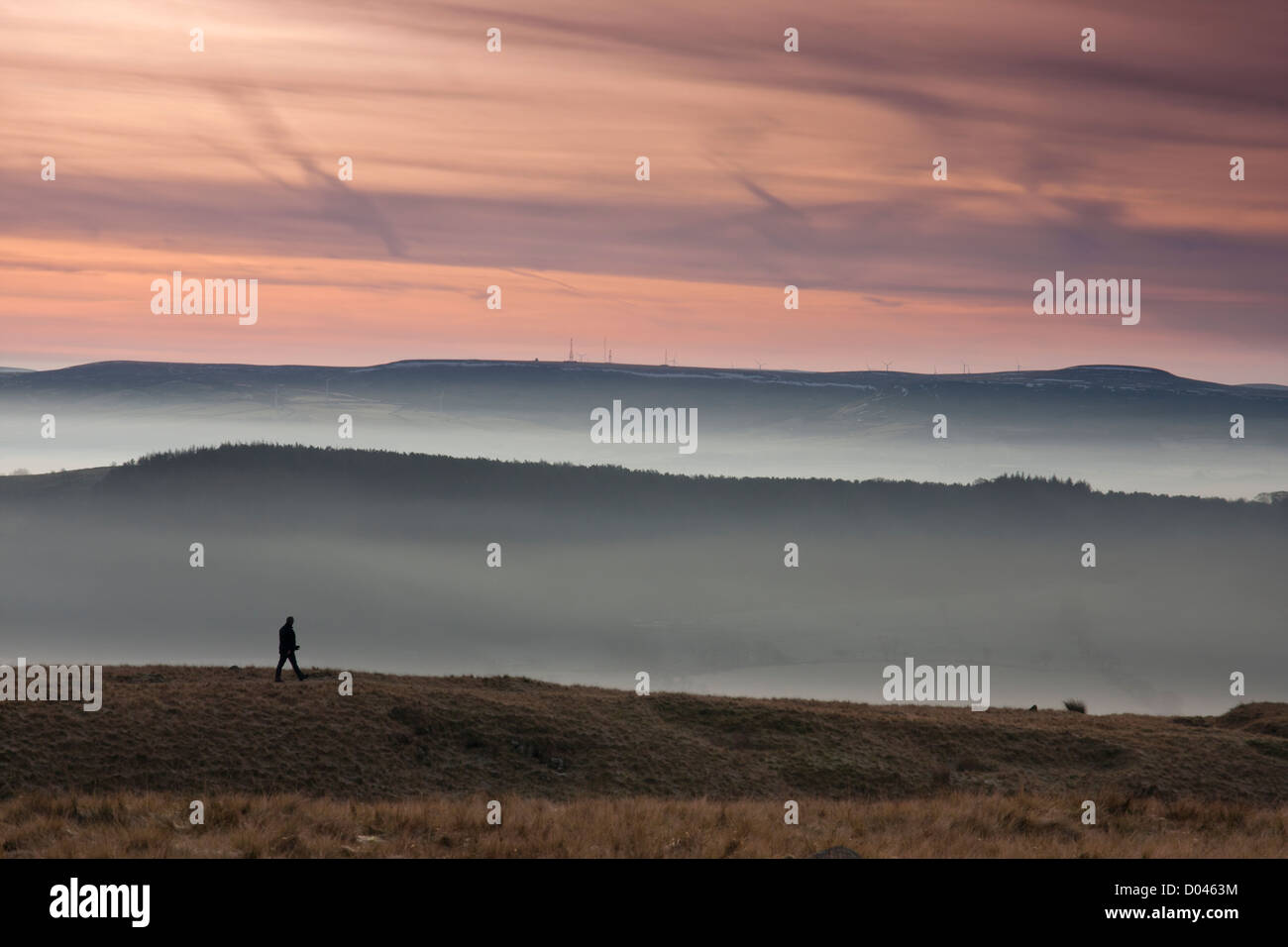 A man walking on Pendle hill in Lancashire at sunrise with low lying mist in the valley below. Stock Photo