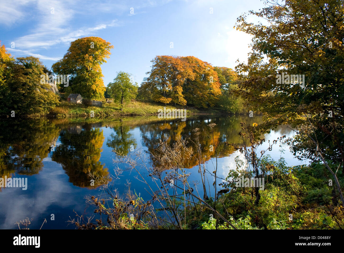 the River Tyne at Hexham Northumberland Stock Photo Alamy