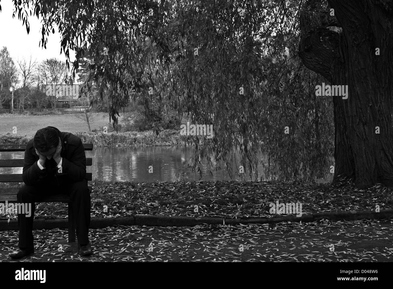 A sad man sits on a bench next to a Weeping Willow tree Stock Photo - Alamy