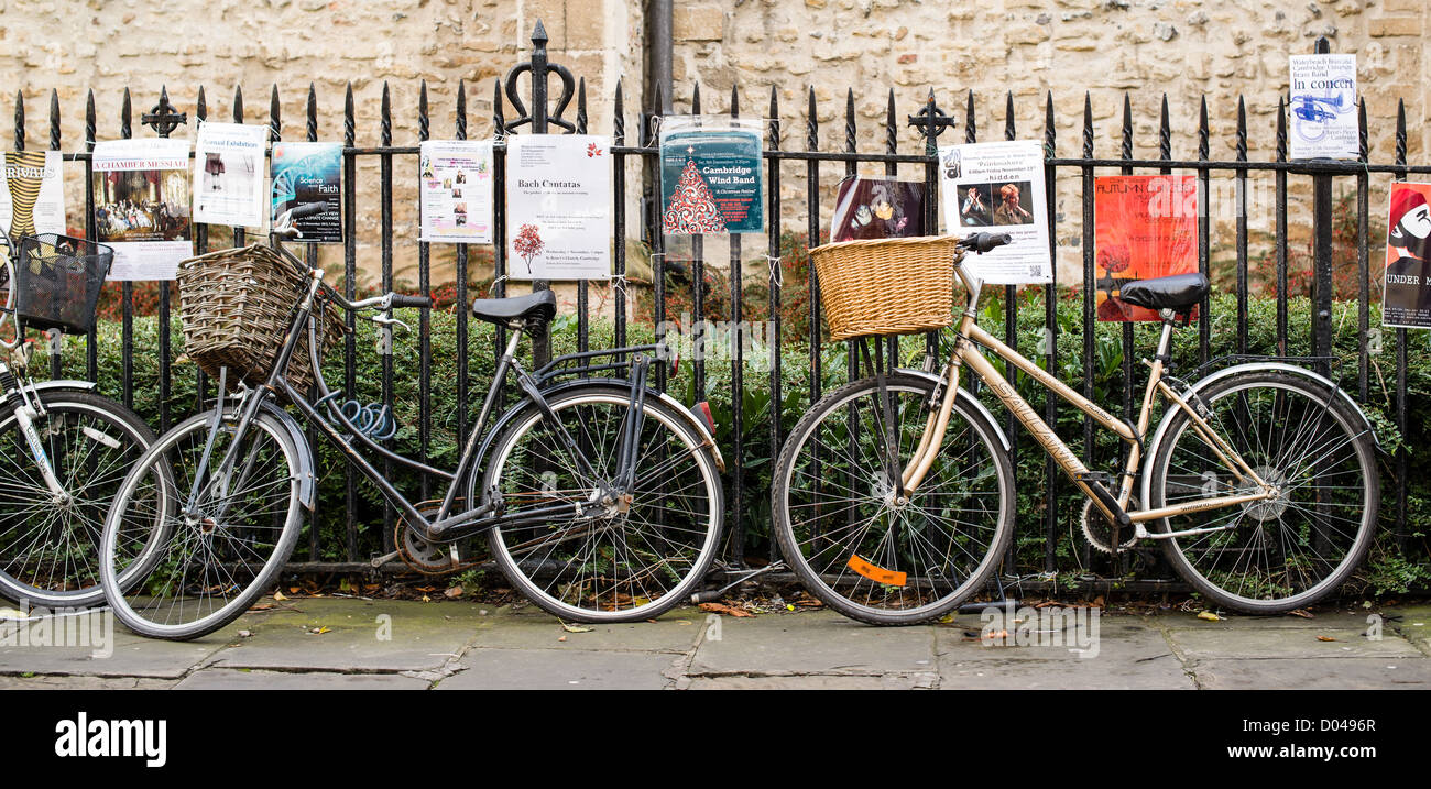 Bicycles used by students at the university of Cambridge, England, are parked in a line Stock