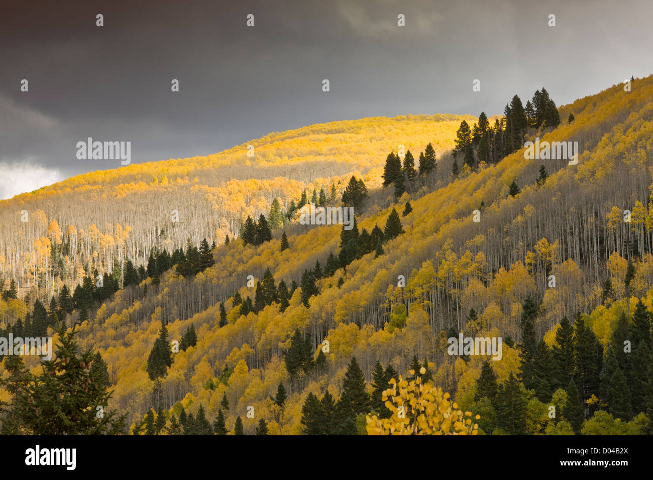San juan mountains dolores hi-res stock photography and images - Alamy