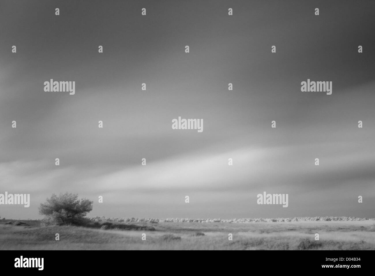 Driftsand Black and White Stock Photos & Images - Alamy