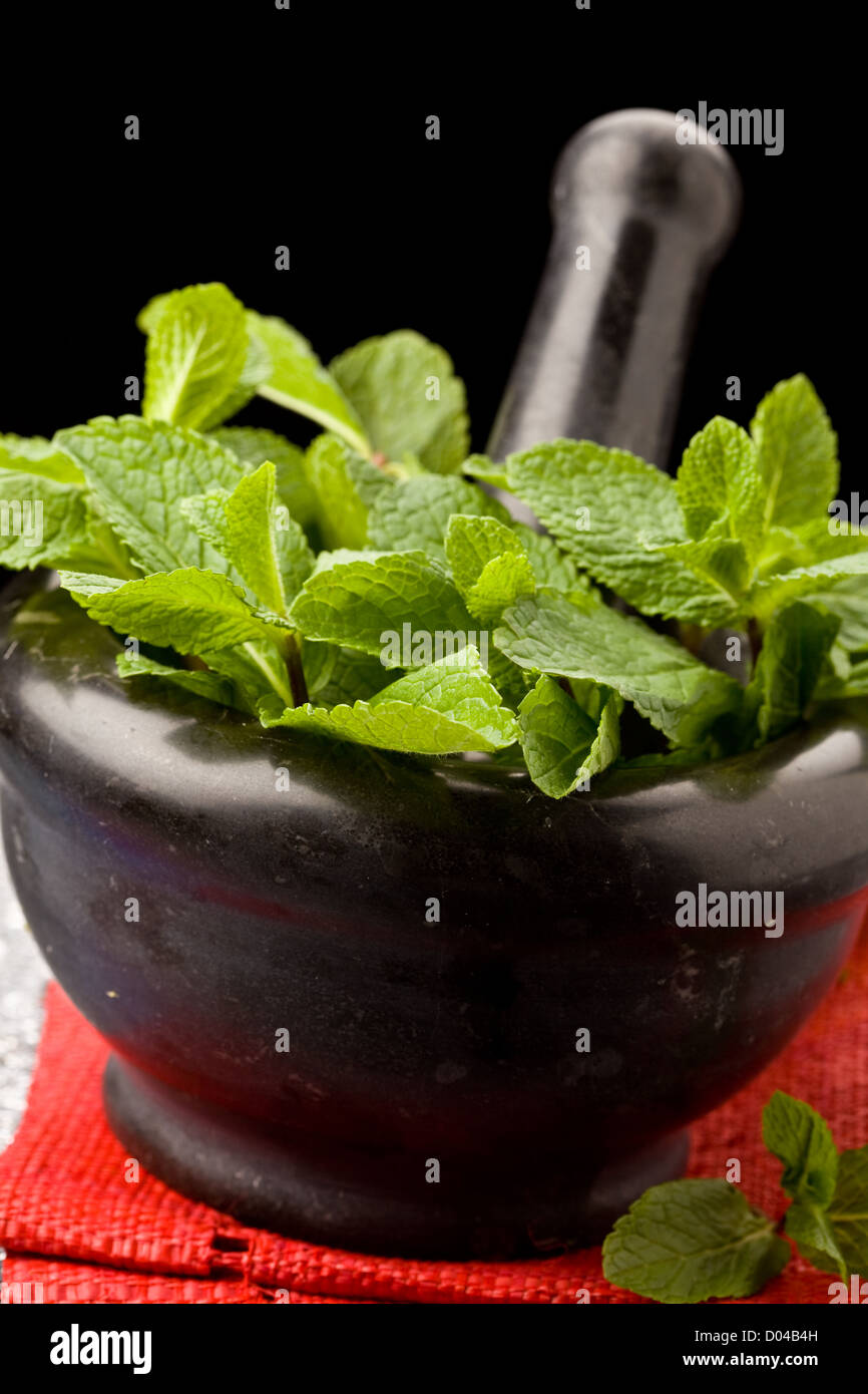 photo of fresh aromatic mint in mortar on a glass table Stock Photo - Alamy