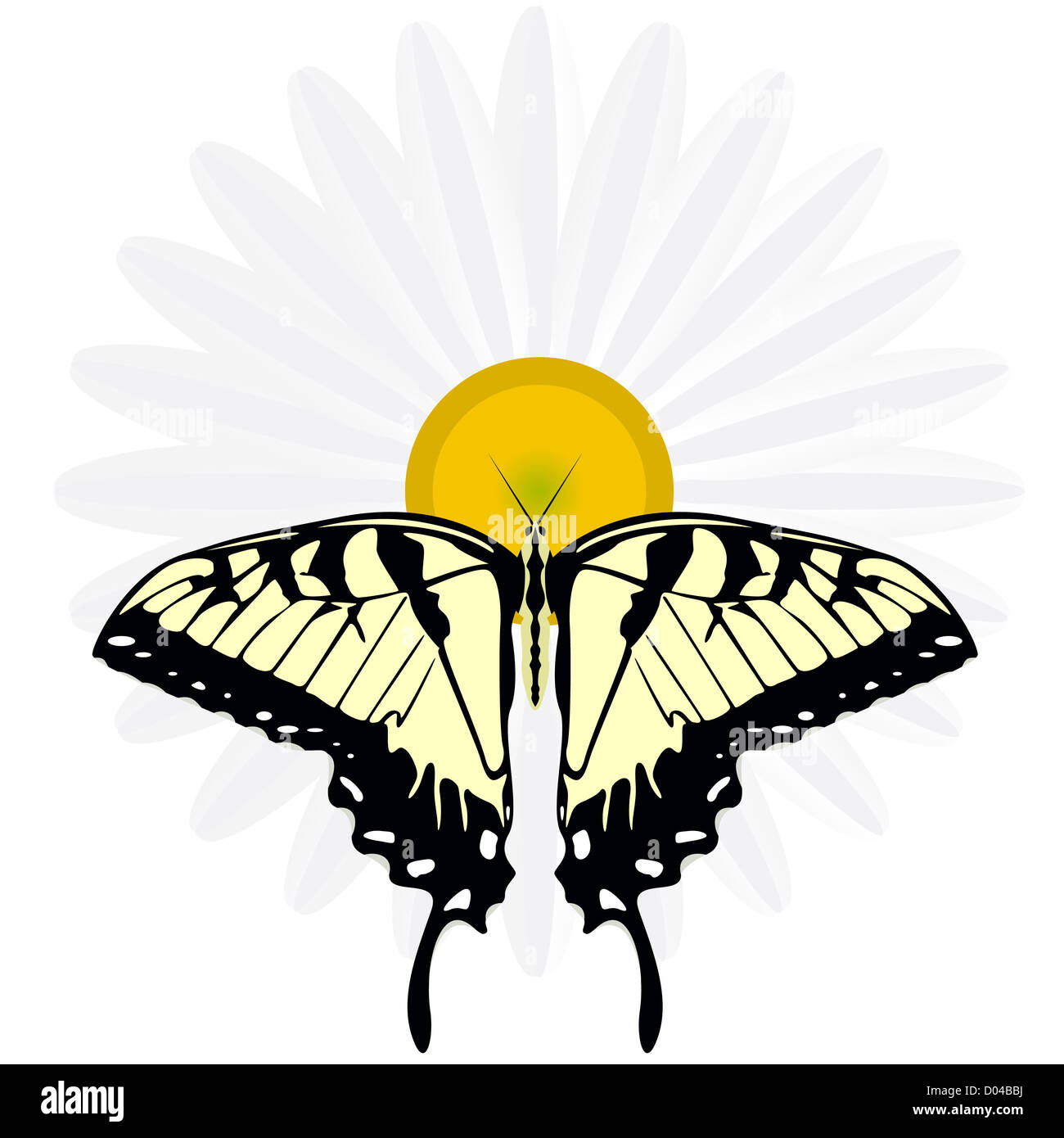 On a flower the butterfly sits. An illustration on a white background ...