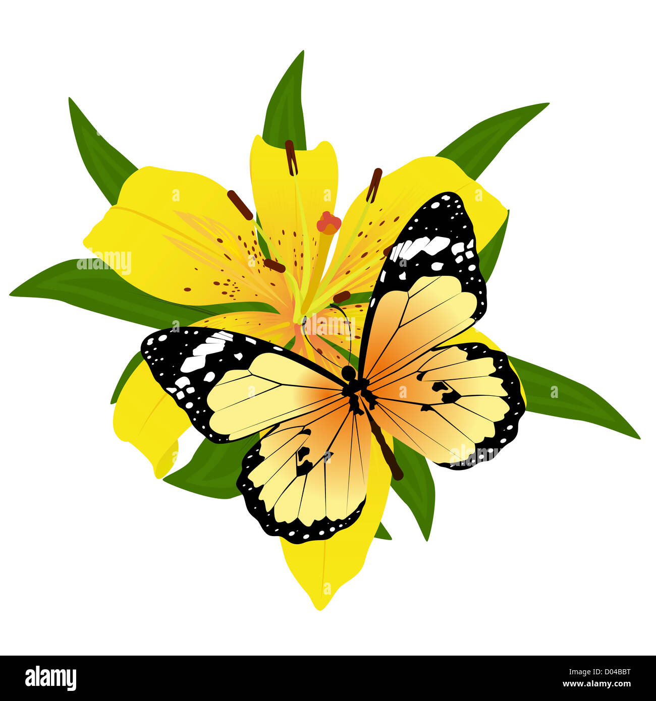 On a flower the butterfly sits. An illustration on a white background ...
