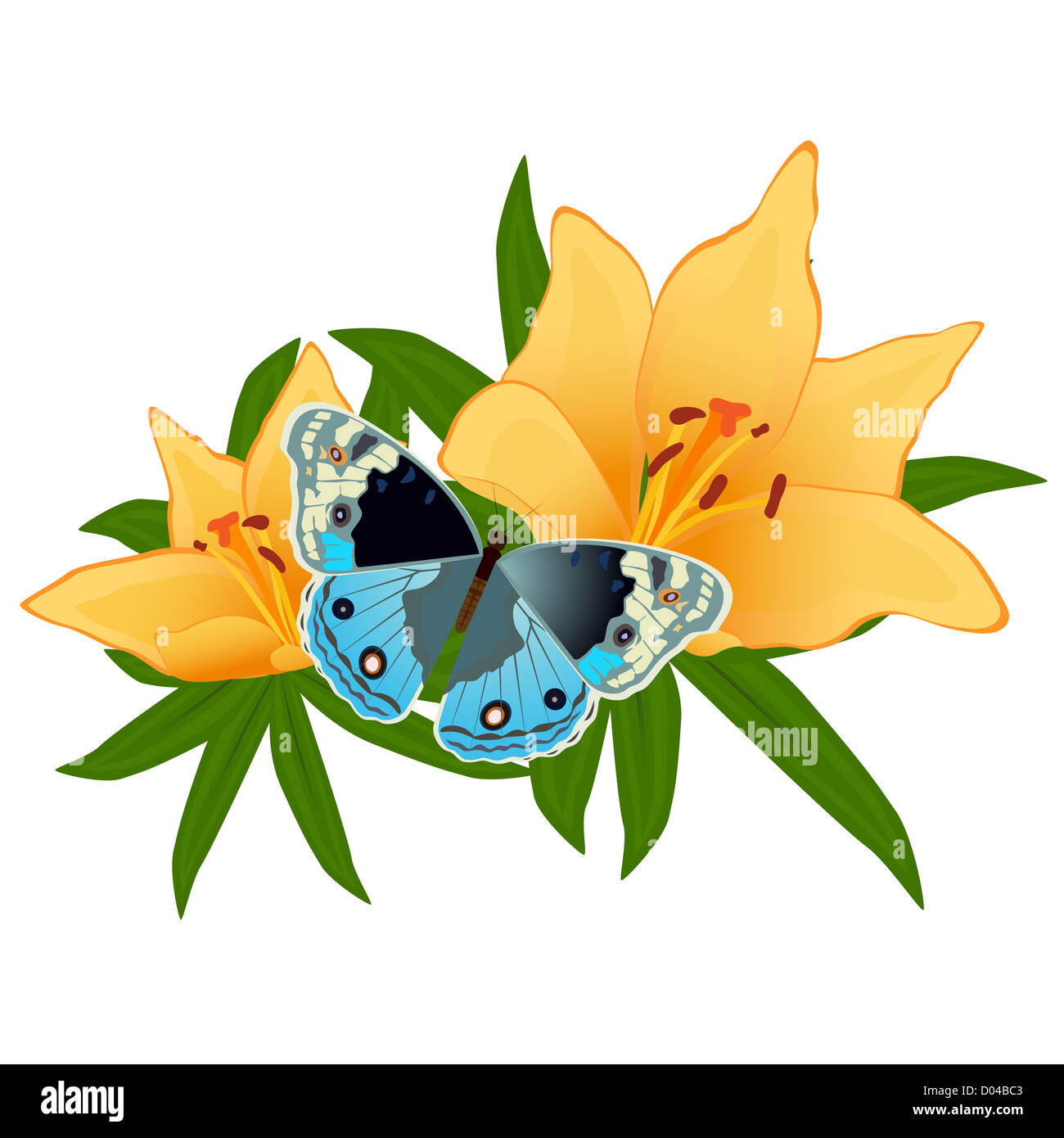 On a flower the butterfly sits. An illustration on a white background ...