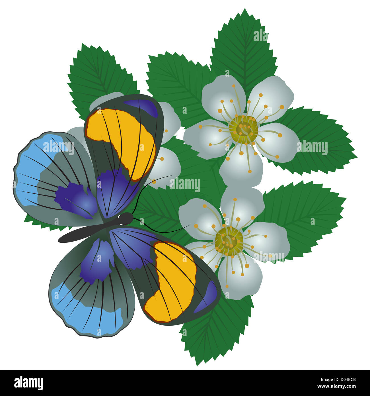 On a flower the butterfly sits. An illustration on a white background ...