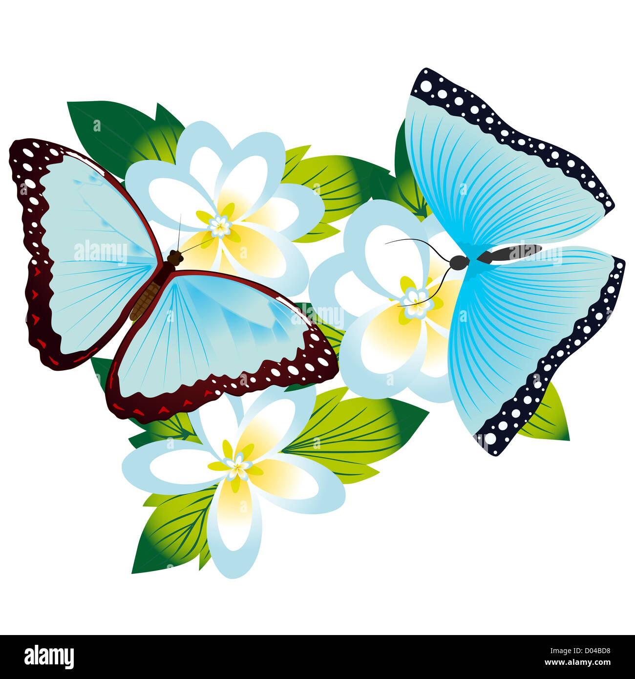 On a flower the butterfly sits. An illustration on a white background ...