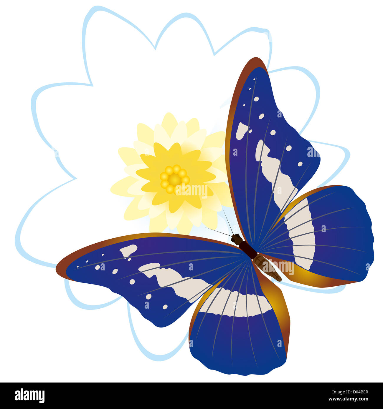 On a flower the butterfly sits. An illustration on a white background ...