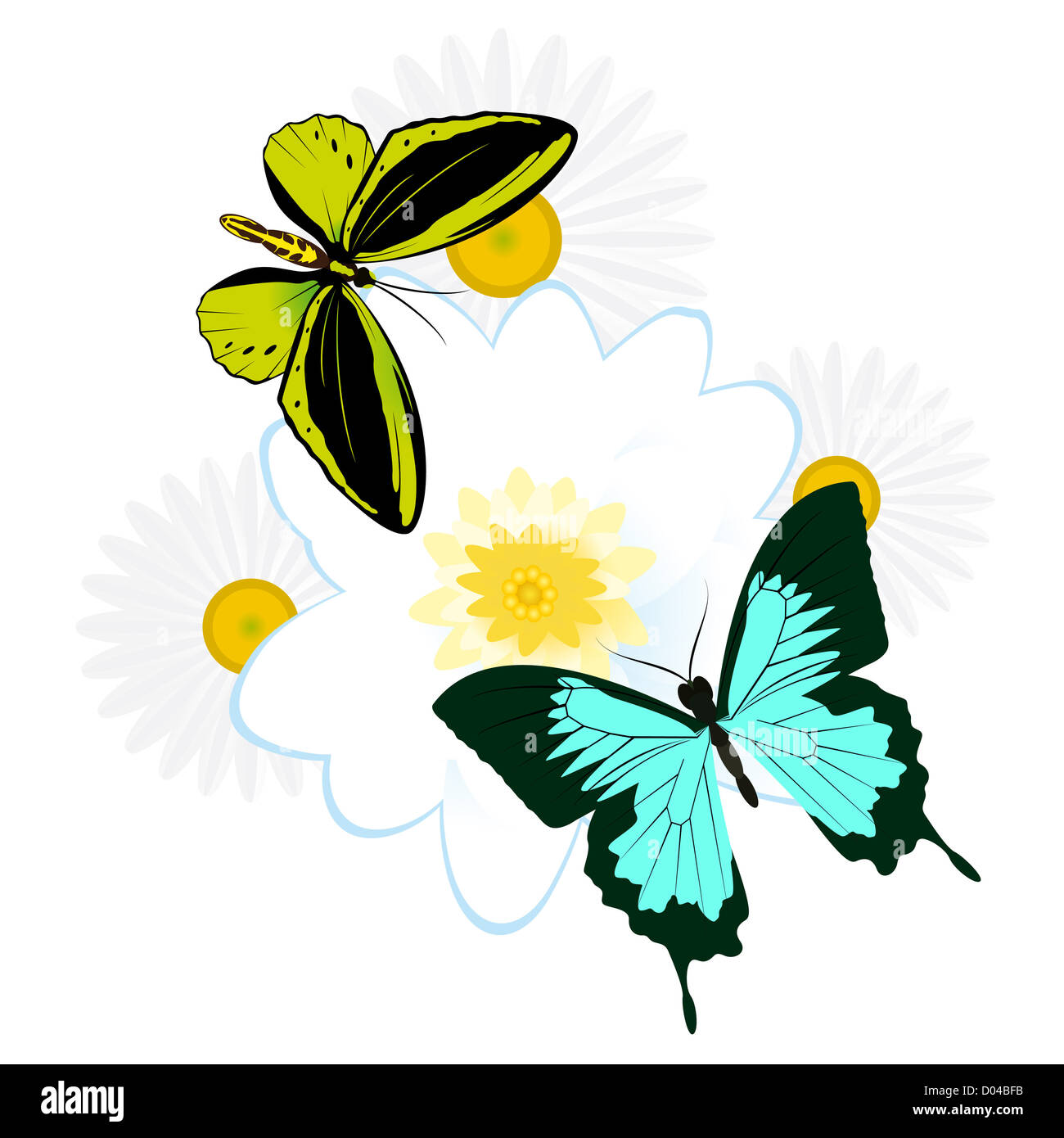 On a flower the butterfly sits. An illustration on a white background ...